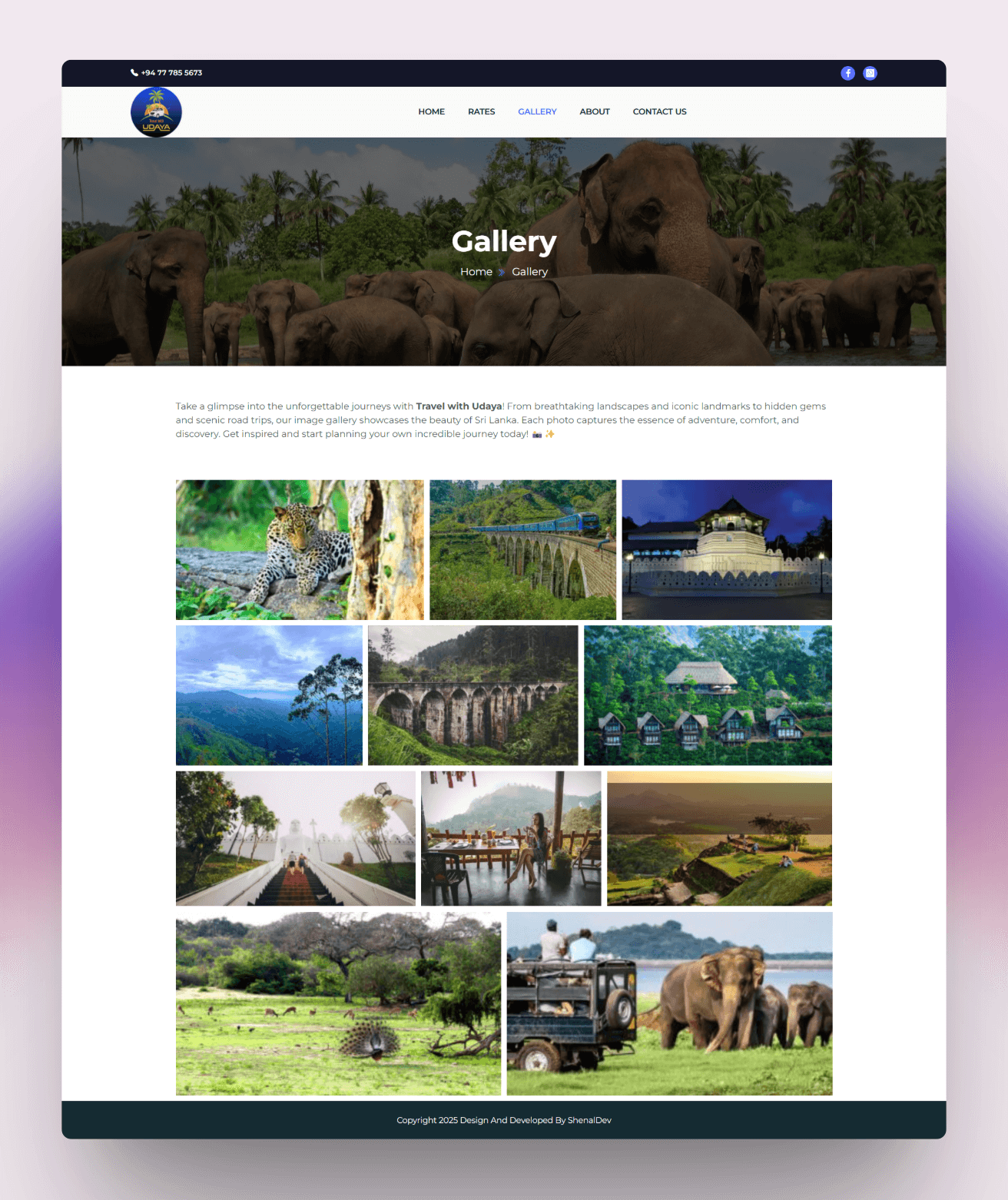 Portfolio Image Screenshot